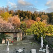 Festa della Fioritura domenica al Borgo Rubens Festa della Fioritura domenica al Borgo Rubens