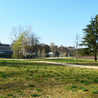 Un workshop per imparare a produrre velocemente nuovo suolo urbano