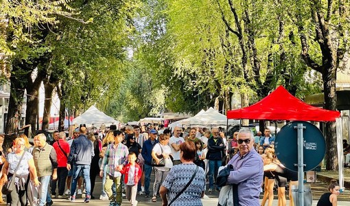 Immagine di repertorio Immagine di repertorio