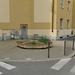 Le fioriere di via Ivrea Le fioriere di via Ivrea