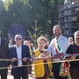 Riforestazione urbana a Collegno, un nuovo spazio verde in Città