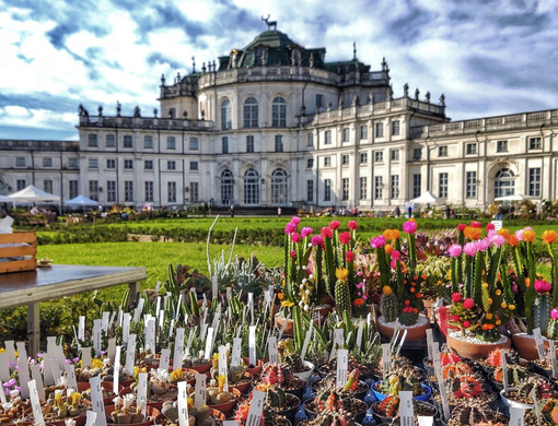 Arriva ottobre. Stupinigi festeggia i suoi prodotti, il suo parco e i suoi fiori