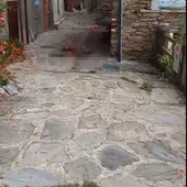 Giovane cervo sbranato in centro a Pequerel, la scia di sangue lungo la strada
