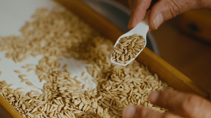 Agroalimentare, Risso: “Agricoltori e trasportatori condividono le stesse difficoltà. Tutelare l’intera filiera”