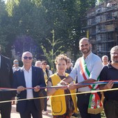 Riforestazione urbana a Collegno, un nuovo spazio verde in Città