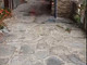 Giovane cervo sbranato in centro a Pequerel, la scia di sangue lungo la strada Giovane cervo sbranato in centro a Pequerel, la scia di sangue lungo la strada