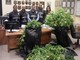 Cantina trasformata in serra per coltivare marijuana: arrestato dalla Guardia di Finanza