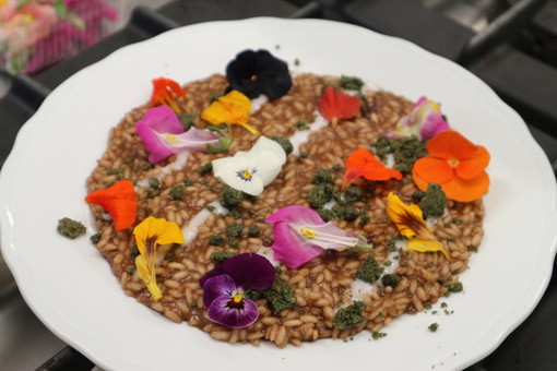 Immagine di repertorio Immagine di repertorio