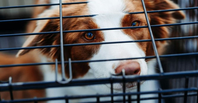 Foto di Hermes Rivera tramite Unsplash