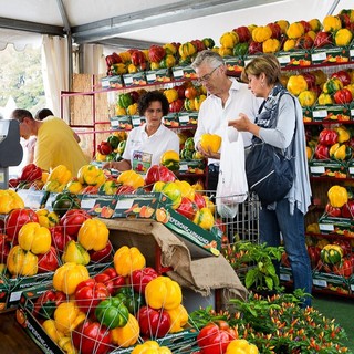 Tutto pronto per la 76ª Fiera del Peperone di Carmagnola: un omaggio al tesoro del Piemonte