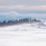 Foto di Ghenadie Cebanu (tramite Unsplash)