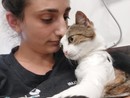 Nala, la gattina tornata a camminare Nala, la gattina tornata a camminare