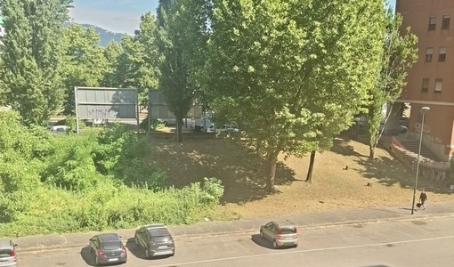 La pulizia (a metà) dei giardini di via Scotellaro