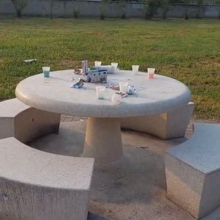 Le condizioni del giardino degli Aironi