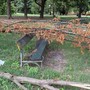 Maxi ramo si schianta su una panchina al Valentino