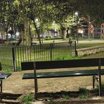 Prende vita il nuovo giardino