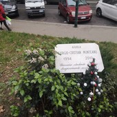 Via Vibò, lettera dei cittadini su liti e tossici al parco Via Vibò, lettera dei cittadini su liti e tossici al parco