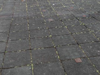 Giardini Jaquerio nel degrado