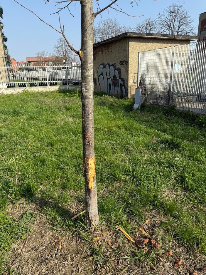 I giardini in cui si è verificata l'aggressione