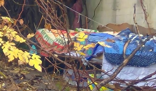 L'uomo si trova nel giardino Salerno