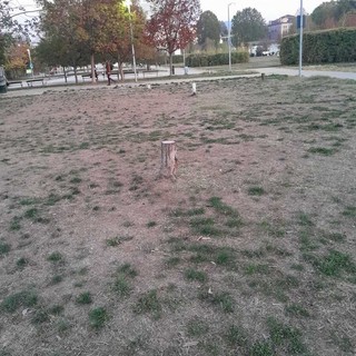 Le condizioni del giardino Grosa Le condizioni del giardino Grosa