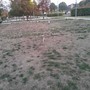 Le condizioni del giardino Grosa Le condizioni del giardino Grosa