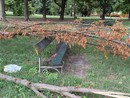 Maxi ramo si schianta su una panchina al Valentino