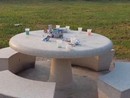 Le condizioni del giardino degli Aironi Le condizioni del giardino degli Aironi
