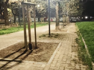 Prende vita il nuovo giardino