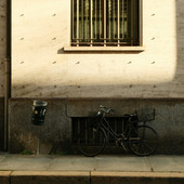 Grigorii Shcheglov - tramite unsplash