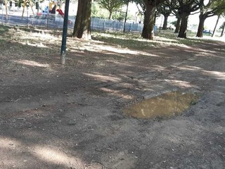 Ancora segnalazioni per il degrado ai Giardini Maiocco Ancora segnalazioni per il degrado ai Giardini Maiocco