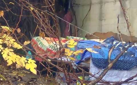 L'uomo si trova nel giardino Salerno