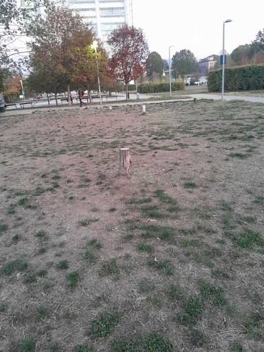 Le condizioni del giardino Grosa