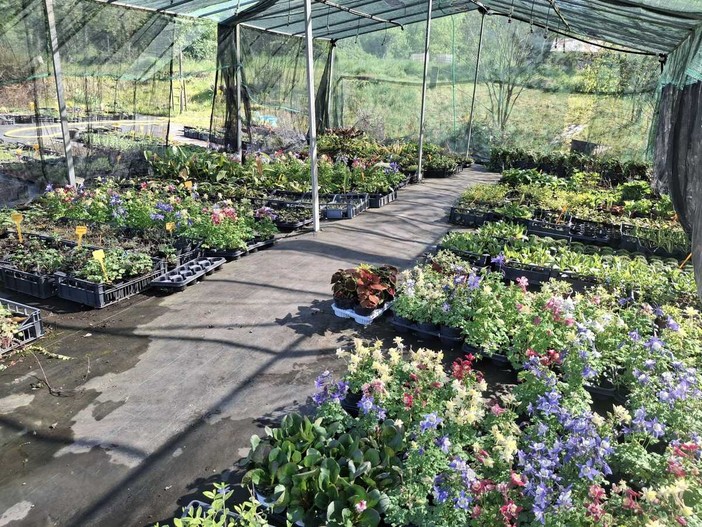 “Di Fiore in Foglia”,  Gardenesque apre le porte alla primavera