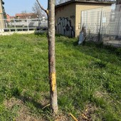 I giardini in cui si è verificata l'aggressione