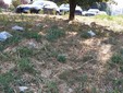Ancora segnalazioni per il degrado ai Giardini Maiocco Ancora segnalazioni per il degrado ai Giardini Maiocco