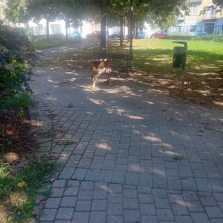 I giardini di via Varallo
