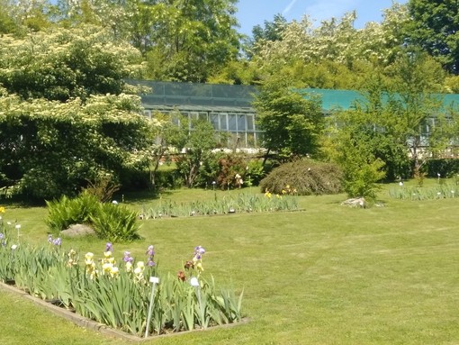 Il giardino Botanico Rea rinasce: 3,6 milioni per il rilancio del polmone verde di Trana