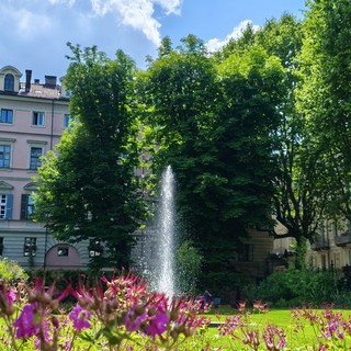 Appuntamenti al giardino di Palazzo Cisterna