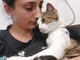 Nala, la gattina tornata a camminare