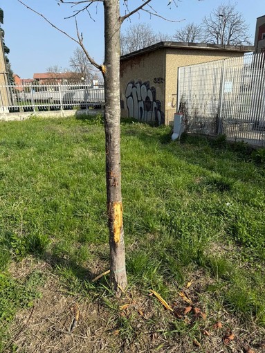 I giardini in cui si è verificata l'aggressione