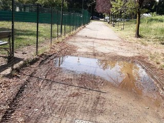 Ancora segnalazioni per il degrado ai Giardini Maiocco Ancora segnalazioni per il degrado ai Giardini Maiocco