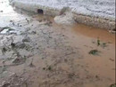 Grandinate sulla zona Sud del Torinese, ingenti danni alle colture