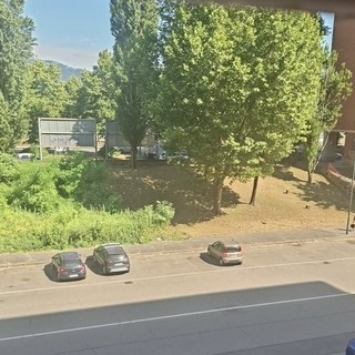 La pulizia (a metà) dei giardini di via Scotellaro