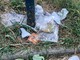Ancora segnalazioni per il degrado ai Giardini Maiocco