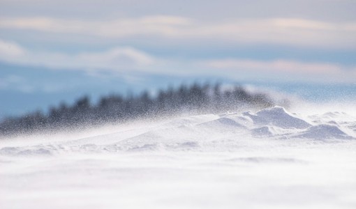 Foto di Ghenadie Cebanu (tramite Unsplash)