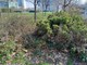 Il giardino Grosa di via Cavalli