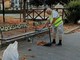 Giorgio Scialuga, 65 anni, si prende cura del suo quartiere