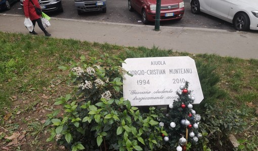 Via Vibò, lettera dei cittadini su liti e tossici al parco