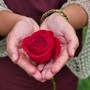 Un fiore e una preghiera, omaggio alle mamme che non ci sono più